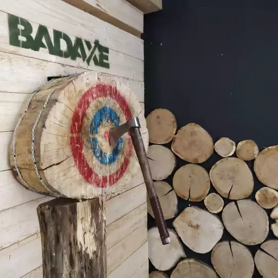 Axe stuck in the middle of the target.